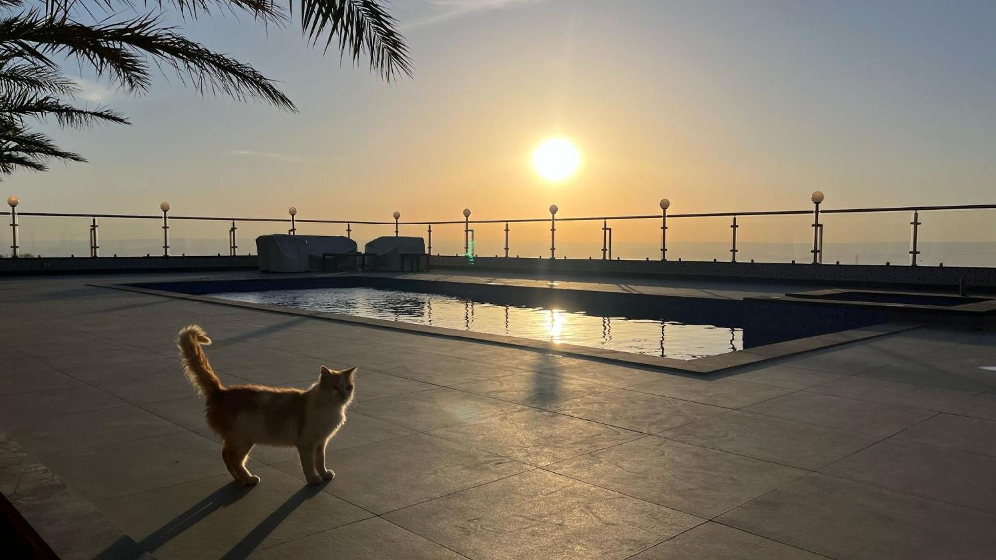 Golden Rays Chalet Μάνταμπα Εξωτερικό φωτογραφία